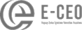 E-CEO