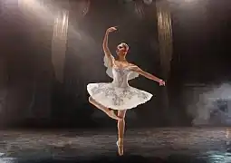 Görsel ALT Başlığı