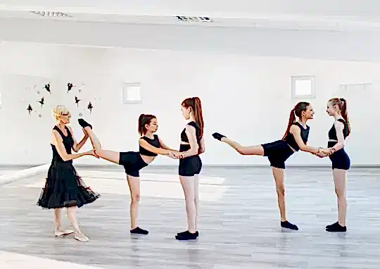 Görsel ALT Başlığı