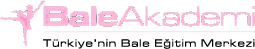 Bale Akademi