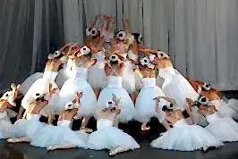 Görsel 5