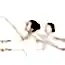 Görsel 7